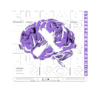 Error of the human Shirt